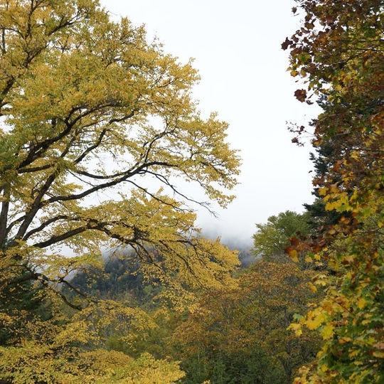Kankoso Katashina Dış mekan fotoğraf