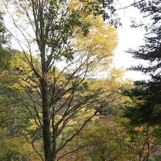 Kankoso Katashina Dış mekan fotoğraf